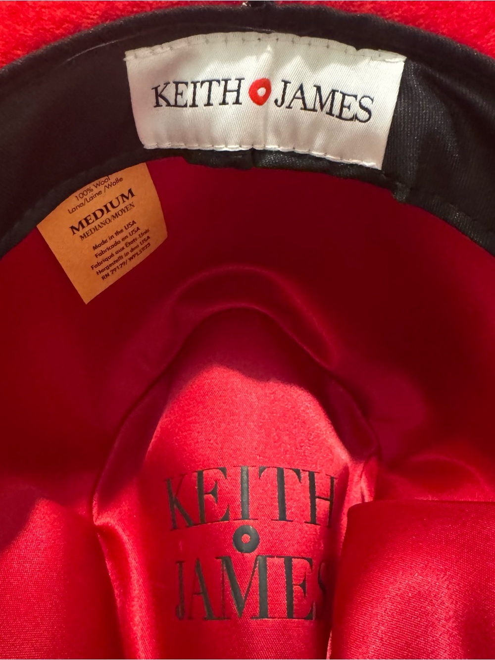 Keith James - Men's Queen Wide-Brim Felt Hat with Feather Accent Red Brim / Medi - Picture 3 of 5